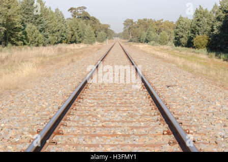 a straight stretch of railway line disappears into the distance with trees and blue sky Stock Photo