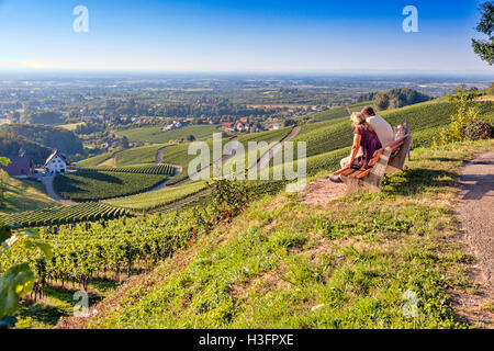 Vineyards at harvest time in Southern Germany Black Forest Region Ortenau Stock Photo