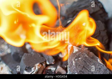 Fire and Coals Close Up. Burning Fire Bright Flames. Hot Charcoal Briquettes. Stock Photo
