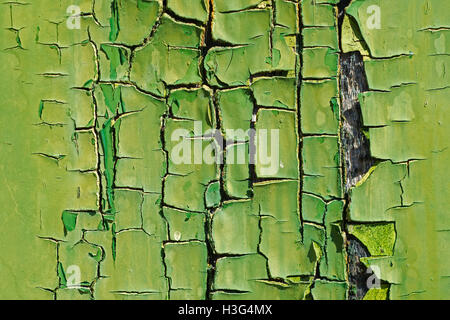 Old Green Cracked Paint on Wood Close Up. Abstract Texture Background. Stock Photo