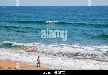 Australia, New South Wales, Sydney, Northern Beaches, surf of the Tasman Sea at Palm Beach, Sydney's most northerly beach Stock Photo