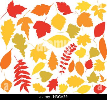 vector silhouettes of autumn leaves Stock Vector