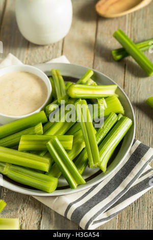 Raw Organic Green Celery Stalks with Ranch Dip Stock Photo