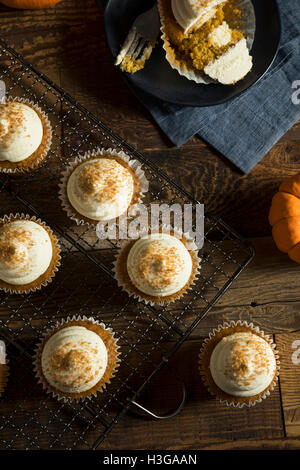 Sweet Homemade Pumpkin Spice Cupcakes with Frosting Stock Photo