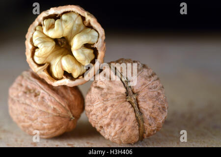 English walnuts with one cracked open. Stock Photo