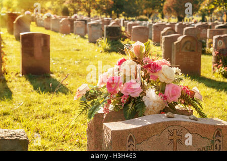 Roses in a cemetery with headstones in the background (faded retro effect) Stock Photo