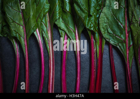 Red chard , vibrant vegetable on dark slate Stock Photo