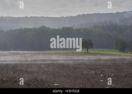 Rising mist over the undulated fields in October morning Stock Photo