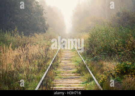 Empty railway goes through foggy forest in morning, vintage toned photo background with tonal correction, old style effect Stock Photo