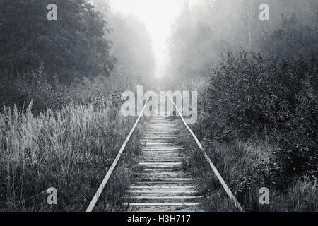 Empty railway goes through foggy forest in morning, black and white photo background Stock Photo