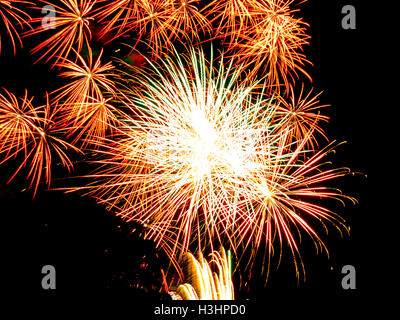 Golden star burst and sparkles.Spectacular fireworks Stock Photo
