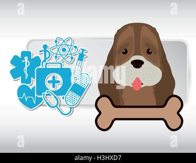 pet care center service icons Stock Vector