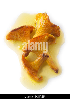 Wiild organic chanterelle or girolle Mushrooms (Cantharellus cibarius) or sauteed in butter Stock Photo