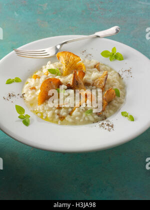 Wiild organic chanterelle or girolle Mushrooms (Cantharellus cibarius) or sauteed in butter and herbs risotto Stock Photo