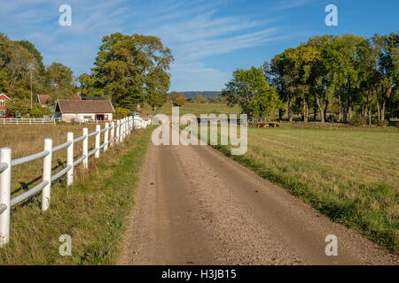 Autumn in the countryside of Vastergotland, Sweden Stock Photo