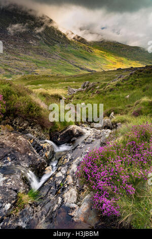 A stream off Nant Gwryd flows from Llyn Cwmffynnon leading into Dyffryn Mymbyr. Stock Photo