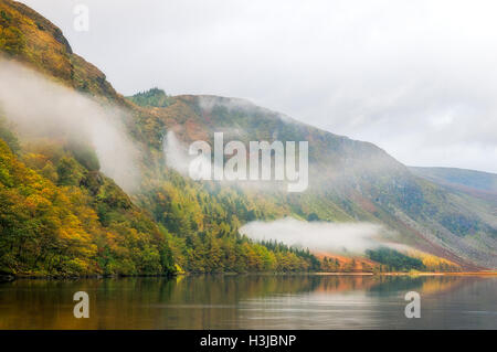 Misty morning in Glendalough Upper Lake, Wicklow Mountains - Ireland Stock Photo