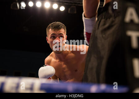 Boxnation hi res stock photography and images Alamy