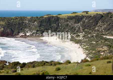 Snelling beach and coastline on the north coast of Kangaroo island,South Australia Stock Photo