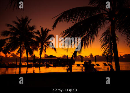 Tropical beach background with palm trees silhouette at sunset. Vintage effect. Stock Photo