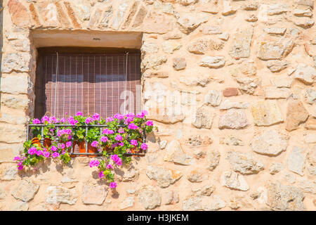 Facade of house, detail of window with flowers. Medinaceli, Soria province, Castilla Leon, Spain. Stock Photo
