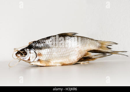 Dried fish on the table. Salty dry river fish on a white background. Dead dry salty fish - snack to beer. Isolated on white. . Stock Photo