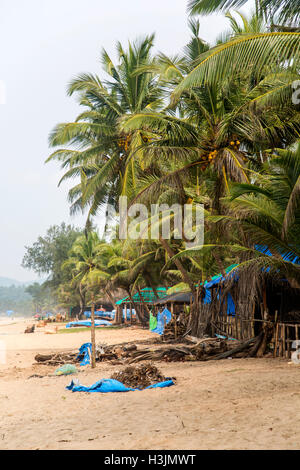 View at palm trees on the Agonda beach at Goa, India Stock Photo