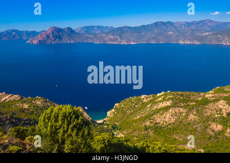 Stunning scenery of D81 road through the Calanques de Piana on the west coast of Corsica, France, Europe. Stock Photo