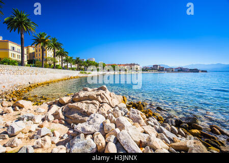 Ajaccio old city center coastal cityscape with palm trees and typical old houses, Corsica, France, Europe. Stock Photo