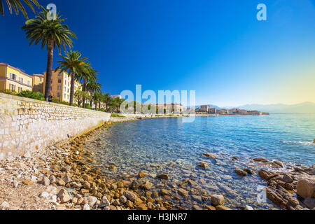 Ajaccio old city center coastal cityscape with palm trees and typical old houses, Corsica, France, Europe.
