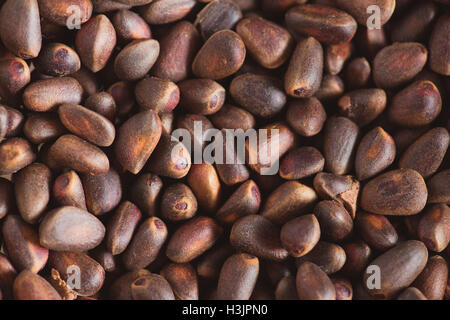 Pine nuts in shells of ciberian cedar as a background. Macro Stock Photo