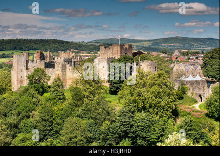 Ludlow Castle in summer, Ludlow, Shropshire, England, UK Stock Photo