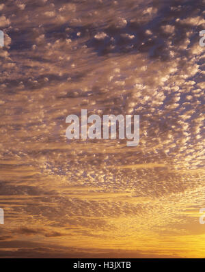 Altocumulus and cirrostratus clouds Stock Photo