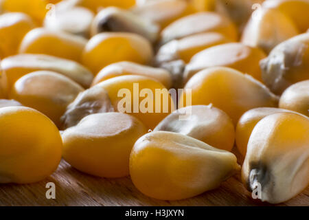 Macro shot of dried corn seeds on wooden background. Stock Photo