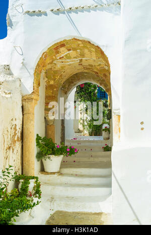 The narrow passage decorated with flowers in pots, leads to the courtyard with shady garden, Sidi Bou Said, Tunisia. Stock Photo