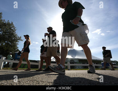 City, Florida, USA. 8th Oct, 2016. OCTAVIO JONES | Times .University of South Florida Bulls fans prepare to watch their team face the East Carolina University Pirates at Raymond James Stadium in Tampa, Florida on Saturday, October 8, 2016. USF defeated East Carolina 38 to 22. © Octavio Jones/Tampa Bay Times/ZUMA Wire/Alamy Live News Stock Photo