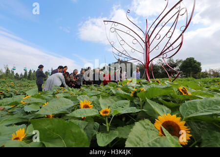 Nantong, China's Jiangsu Province. 9th Oct, 2016. Volunteers accompany the aged people to visit an exhibition garden in Nantong, east China's Jiangsu Province, Oct. 9, 2016. Sunday marks the Chongyang Festival, China's day for the elderly. © Xu Congjun/Xinhua/Alamy Live News Stock Photo
