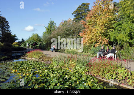 Wisley Gardens, Surrey, UK. 9th October 2016. Autumn colours in the morning sunshine at Wisley Gardens, Surrey, England. Credit:  Julia Gavin UK/Alamy Live News Stock Photo