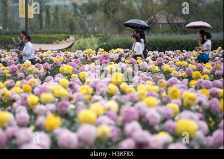 Kunming, China's Yunnan Province. 10th Oct, 2016. Tourists go sightseeing at Gudian wetland park in Jinning County of Kunming, capital of southwest China's Yunnan Province, Oct. 10, 2016. © Hu Chao/Xinhua/Alamy Live News Stock Photo