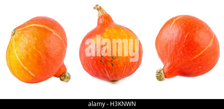 Red Kuri Squash Set Collection Hokkaido Pumpkin Isolated on White Stock Photo