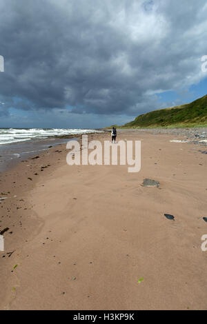 Ayrshire Coast, Scotland. The Ayrshire coastline at Croy Beach in Culzean Bay, with the headland at Drumshang in the background. Stock Photo