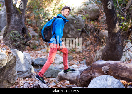 Sportive Hiker walking in wild Spring Forest Stock Photo