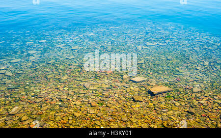 Shallow water with rocky sea bottom as background Stock Photo - Alamy