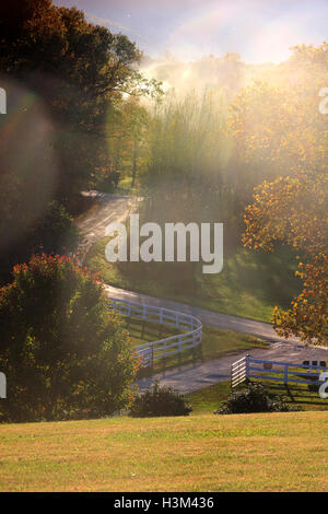 Country road in rural Virginia, USA, with trees changing colors in autumn Stock Photo