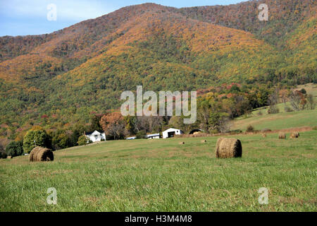 Fall landscape in Virginia, with hay bales and hills Stock Photo