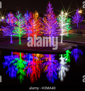 A square orientation of hundreds of trees are covered with colorful Christmas lights and reflected on the surface of this pond. Stock Photo