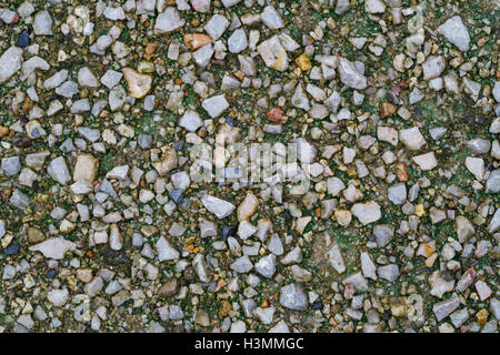 very small and tiny pebble stone rocks in macro close up in diverse colors  garden ground decoration background Stock Photo