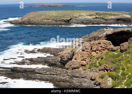 Casuarina islets and Admirals arch on  Kangaroo Island, Cape Du Couedic in Flinders chase national park, South Australia Stock Photo