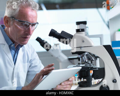 Researcher viewing information on digital tablet in a laboratory Stock Photo