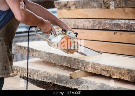Carpenter sawing wooden plank Stock Photo